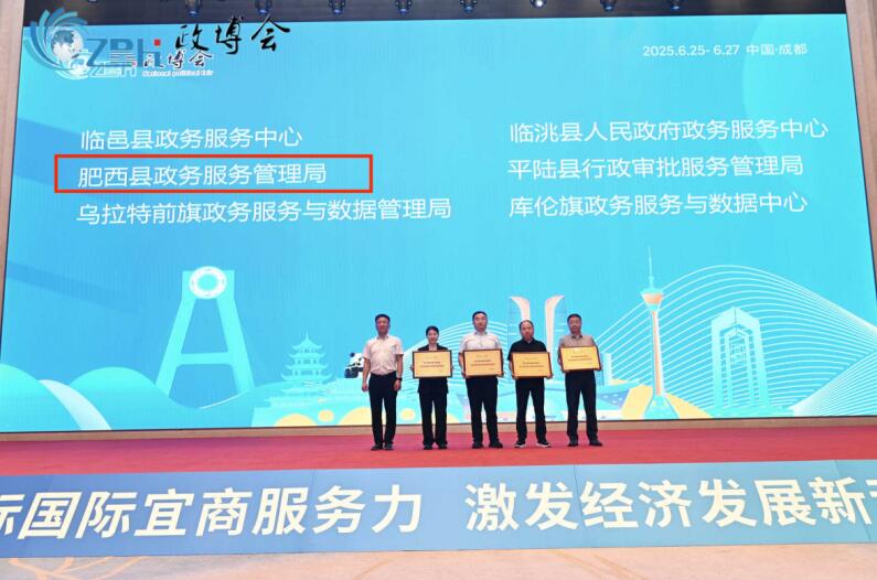成功案例肥西：政务服务案例获全国殊荣
